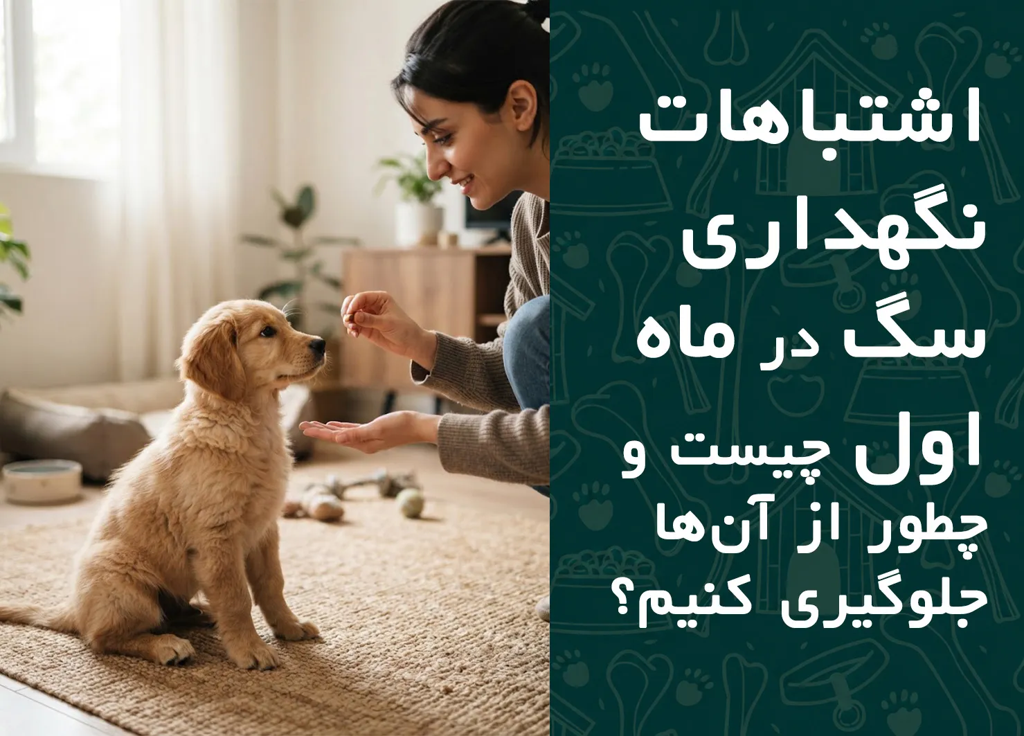 اشتباهات نگهداری سگ در ماه اول چیست و چطور از آن‌ها جلوگیری کنیم؟